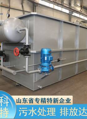 溶气气浮机大蒜加工污水处理设备食品废水处理一体化气浮机生产商
