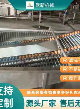 保洁蛋清洗去泥设备蛋类风干光检喷油生产线洗蛋机隧道式食品级