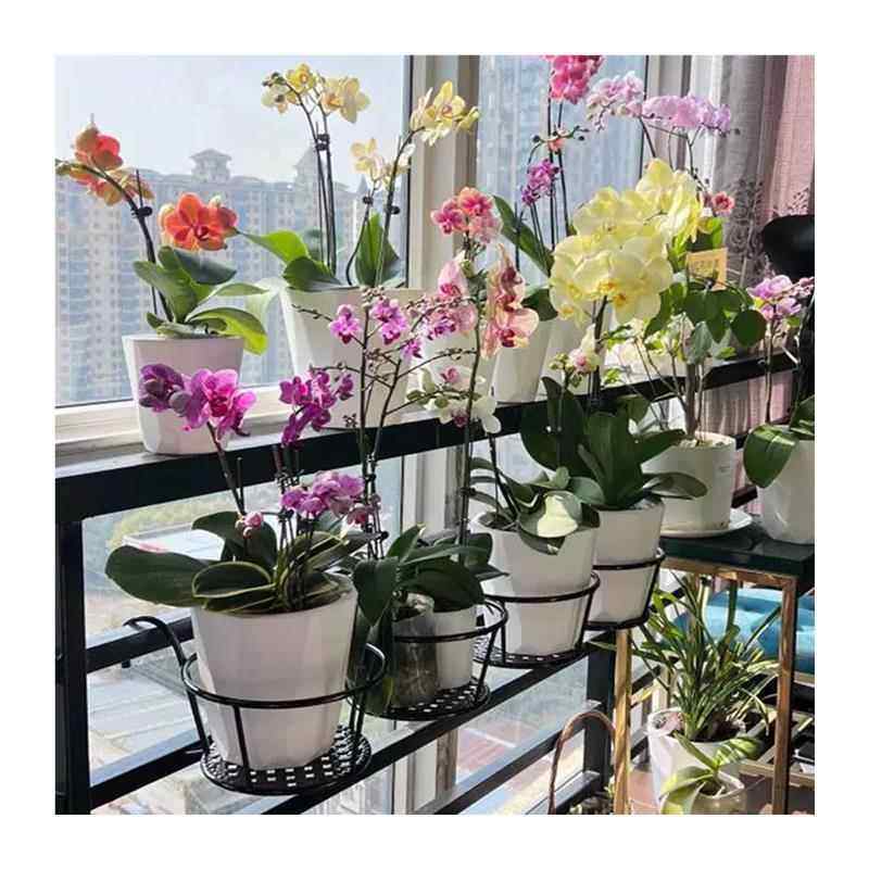 加粗花架北欧铁艺栏杆吊兰绿萝花盆架阳台悬挂花架花欧式窗台挂架,淘宝优惠券,粉丝福利购,淘宝优惠卷
