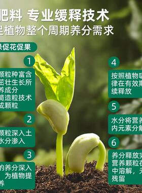 缓释肥颗粒通用型氮磷钾覆合肥家用花卉多肉盆栽植物专用控释花肥