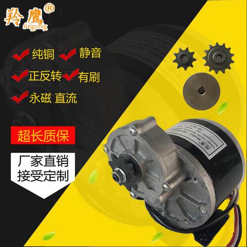 12V电动车马达永磁直流有刷减速MY1016Z2尤奈特同款24v250W浩诚 - 图0