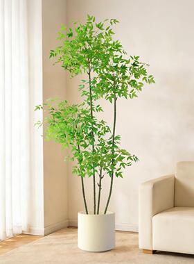 彷真绿色植物南天竹落地盆栽彷生植物摆件客厅沙发边家居装饰盆景