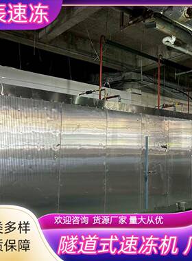 冻机隧道式速冻机商用速冻设备水果速冻海鲜平板速冻机