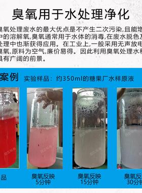 启立臭氧机废水脱色染印游泳池浓度杀菌消毒污水处理臭氧发生器