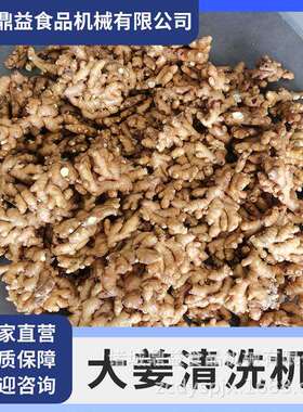 果蔬气泡清洗机  全自动大姜清洗机 大姜清洗机 清洗机设备