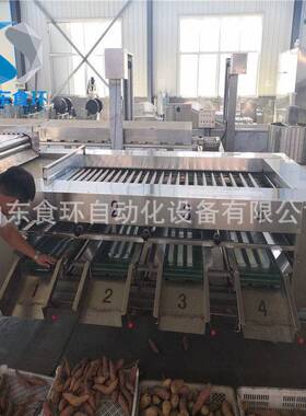 全自动滚杠式分级机供应荸荠分级机设备土豆分级机支持定制