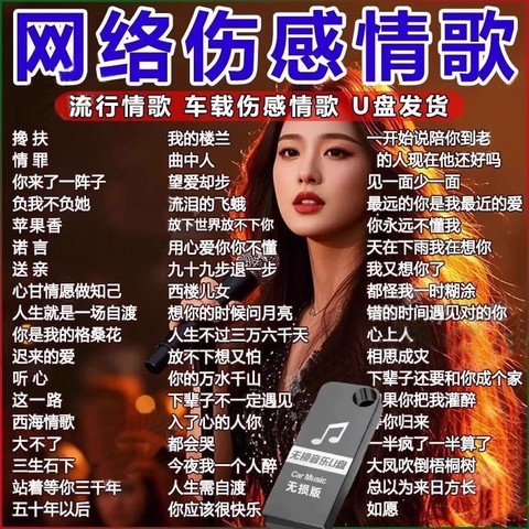 2025网络伤感情歌音乐U盘
