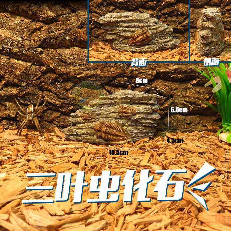 骨骼模型化石罗马柱晒台爬坡爬虫饲养箱造景躲避洞宠物蛇磨皮攀爬,淘宝优惠券,粉丝福利购,淘宝优惠卷