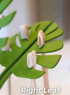跨境新款Mirror Monstera - Bathroom Organizer镜面龟背竹牙刷架