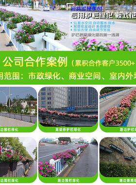 长条马鞍花盆道路护栏绿化工程马路桥梁悬挂式长方形花箱厂家直销
