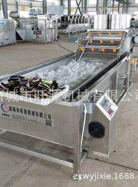 备萝卜清洗流水旺源线洗 厂家供应青萝卜清送机 果蔬清洗输设效