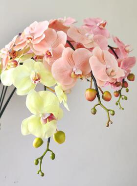 高档精品保湿手感肉粉色 蝴蝶兰 花艺师真花装饰假花材单枝