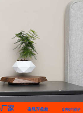 磁悬浮盆栽花盆悬浮花磁悬浮植物家居装饰摆件一件代发源头厂家