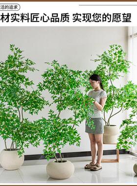 南天竹彷真绿色植物室内大型盆栽假树客厅阳台高档彷生植物落地装