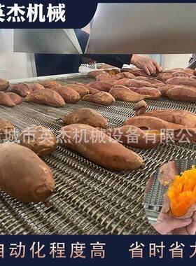 低温红薯烘烤房保留口感地瓜烘干设备食品加工专用烤房
