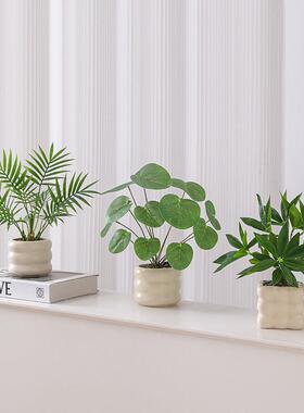 彷真绿色植物摆件假花拍摄道具桌面彷生植物家居装饰品小型盆栽发