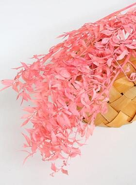 永生花花材 干花富贵叶 永生花礼盒钥匙扣车挂制作干花材料