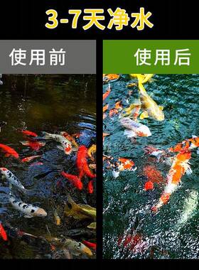 鱼池过滤器水循环系统不锈钢过滤净化设备户外庭院水池净水过滤器