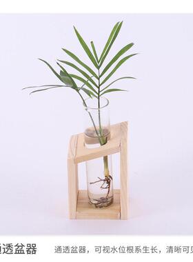 玻璃木质水培展示架桌面摆台装饰绿萝植物玻璃水培试管花木架