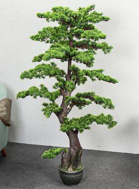 彷真绿色植物迎客松罗汉松大型假树盆栽装饰室内客厅落地崖柏盆景