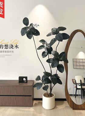 黑金刚橡皮树客厅大盆栽造型室内大型彷真绿色植物假花办公室阳台