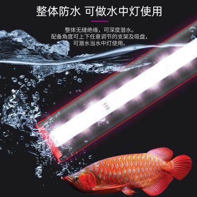 艾诺芬SVIP神灯三基色全彩灯珠大功率亮度可水陆两用水族鱼缸神灯 - 图0