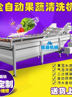 现货供应面条菜清洗机 全自动苦菜洗菜机 多功能桔梗气泡清洗设备