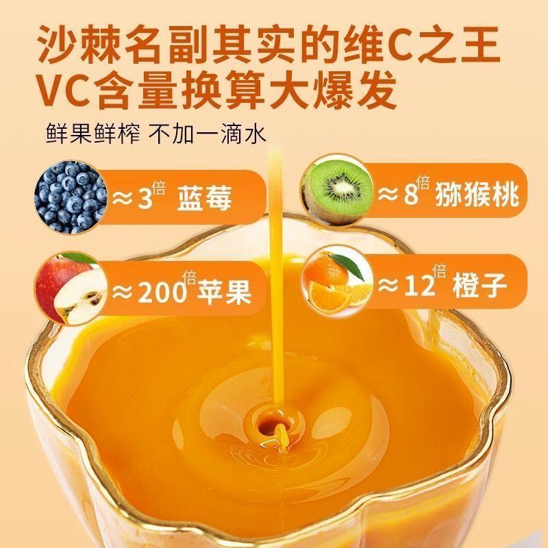 饮仙人沙棘原浆新疆蒙草小果鲜榨原果汁早c晚a维C冲调饮品旗舰店 - 图2