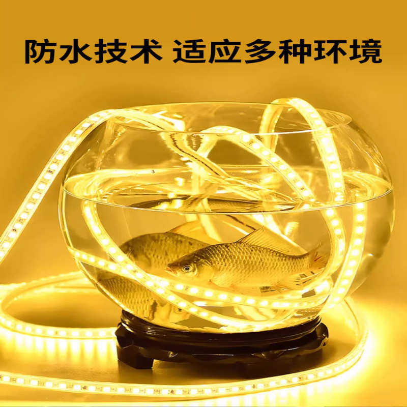 LED灯带220v户外防水地下室隧道工地亮化装饰照明白光灯条24V36V,淘宝优惠券,粉丝福利购,淘宝优惠卷