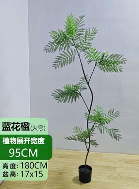 旅人蕉天堂鸟仿真仿真植物盆景