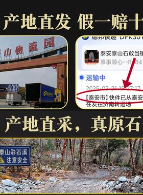 泰山石敢当镇宅室内天然原石办公室靠山石室外石头正宗泰山石摆件