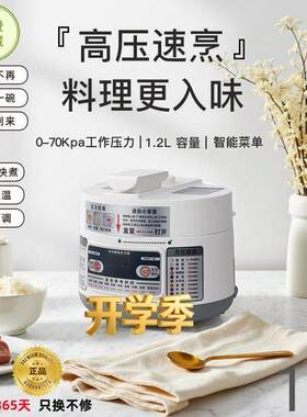 一人食电子压力锅1人高压锅1升压力锅1人特小小一人份副食品压力