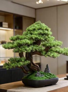 仿真迎客松盆景罗汉松树造景客厅室内植物盆栽入户玄关摆件高级感