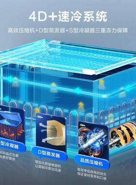 澳柯玛家用商用145冷藏柜冷冻柜200两用冰柜255一级能效小型冷柜