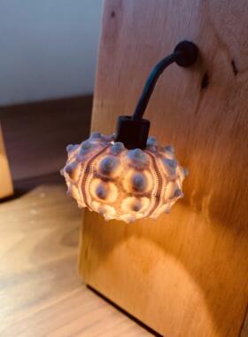 原装魔鬼果实木壁挂灯桌面创意礼品充电幻想海胆气氛夜灯装饰