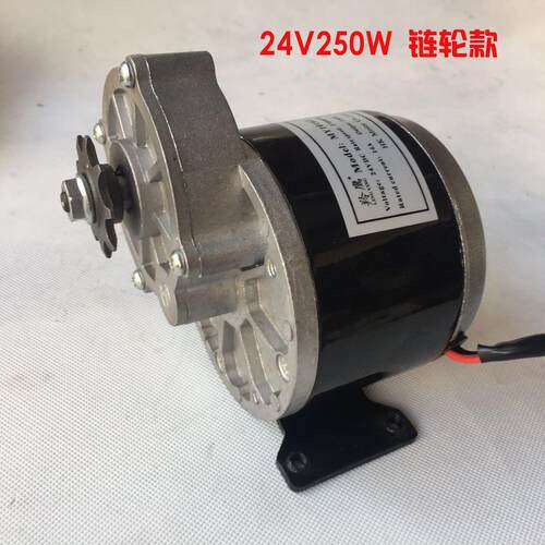 12V电动车马达永磁直流有刷减速MY1016Z2尤奈特同款24v250W浩诚 - 图2