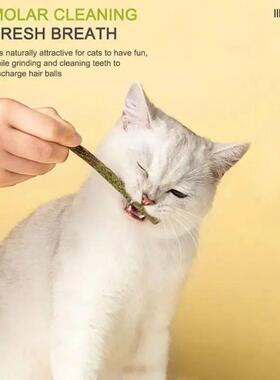 6pcs Natural Matatabi Cat Stick Mint Caught Bite Excited Rod