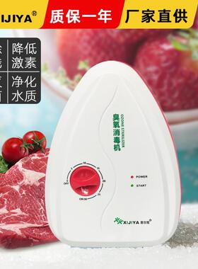 小型果蔬清洗机家用多功能活氧消毒机臭氧发生器臭氧洗菜机除味器