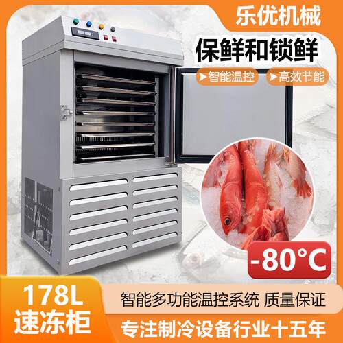 优选冰棍雪糕急速冷冻柜 水果草莓芒果原浆小型商用低温速冻柜 - 图1