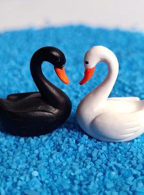 唯美迷你黑白天鹅小摆件微景观造景盆景天鹅diy装饰材料配件摆件