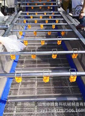 不锈钢臭氧除菌蔬菜清洗机 苹果农残留清洗水泥 鲁科机械
