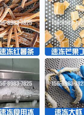 黄用桃流头速冻水机线速冻加565工设备商隧道板栗预冷急冻