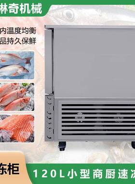 优选用小型鲜商120L容量157速冻柜海冻肉类丸子极速冷食品持久保