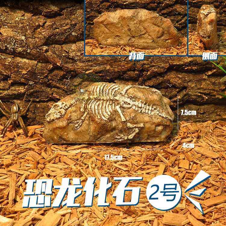 骨骼模型化石罗马柱晒台爬坡爬虫饲养箱造景躲避洞宠物蛇磨皮攀爬,淘宝优惠券,粉丝福利购,淘宝优惠卷