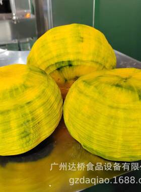 广州达桥智能工业型密本南瓜削皮机白玉南瓜去皮机加工生产线