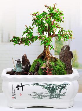 长方形陶瓷花盆大号创意个性简约室内阳台带托盘植物盆栽特价