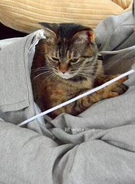 Sweatshirt Cat Hoodie Pet Pouch Hoodie Casual Unisex Oversiz