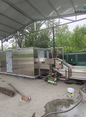 总兴100型海参隧道式速冻机生鲜蔬菜保鲜速冻设备鲜玉米速冻机