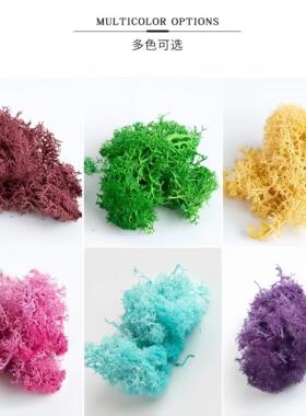 多色永生苔藓500克盒装DIY手工花盒相框苔藓墙微景观造景清新装饰