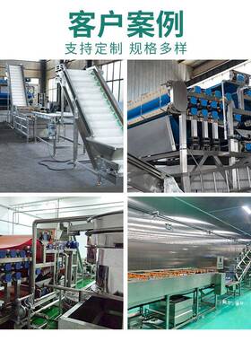 诺坤李子清洗破碎榨汁设备工厂大型脆李汁加工机器水果榨汁机